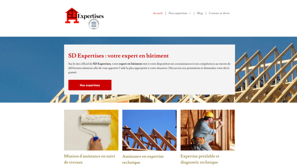 sd-expertises-camille-carollo-redacteur-web-freelance-paris