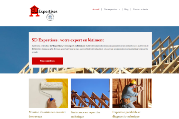 sd-expertises-camille-carollo-redacteur-web-freelance-paris