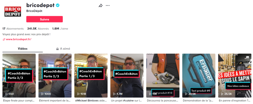 Brico Dépot sur TikTok