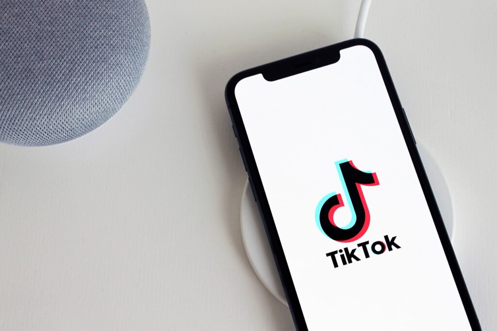 camille-carollo-redacteur-web-freelance-histoire-tiktok