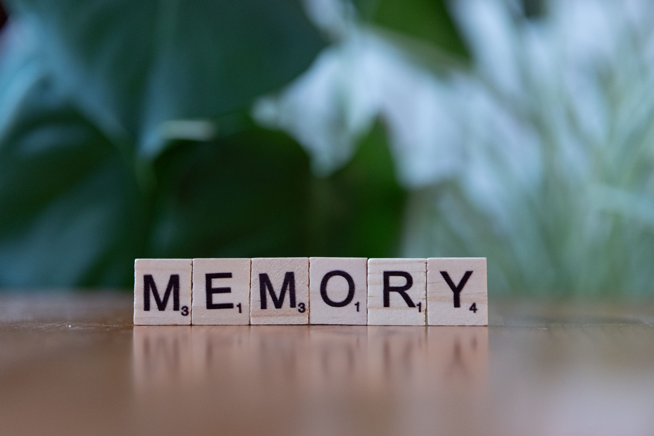 Lettres en bois formant le mot mémoire